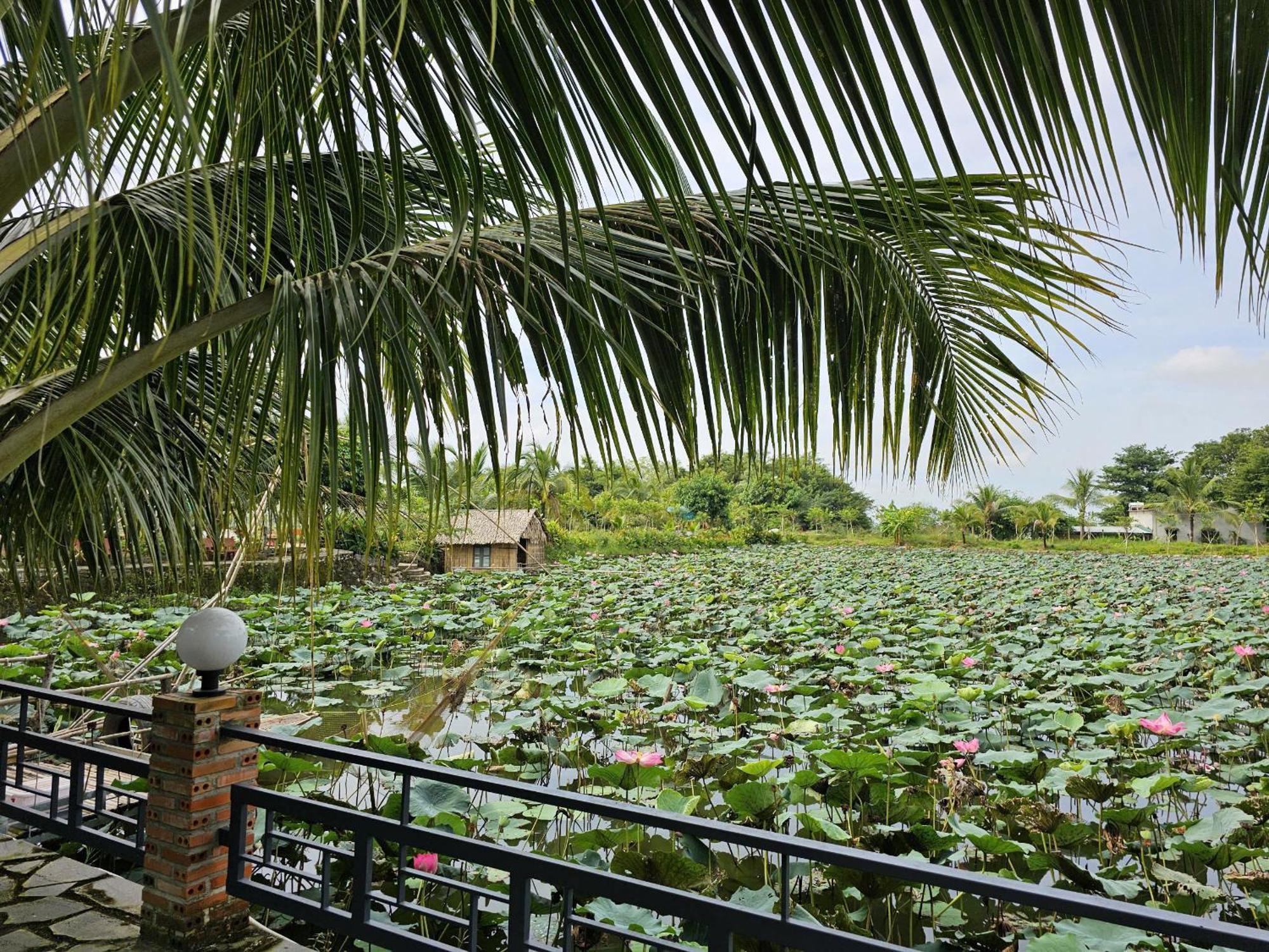 Phu Dien Homestay Cat Tien Kültér fotó